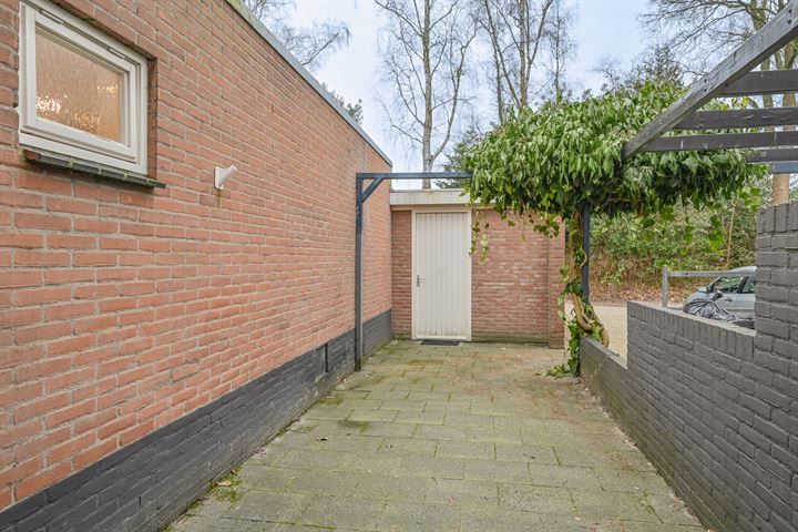 Bekijk foto 10 van Laan van de Iemenhees 466