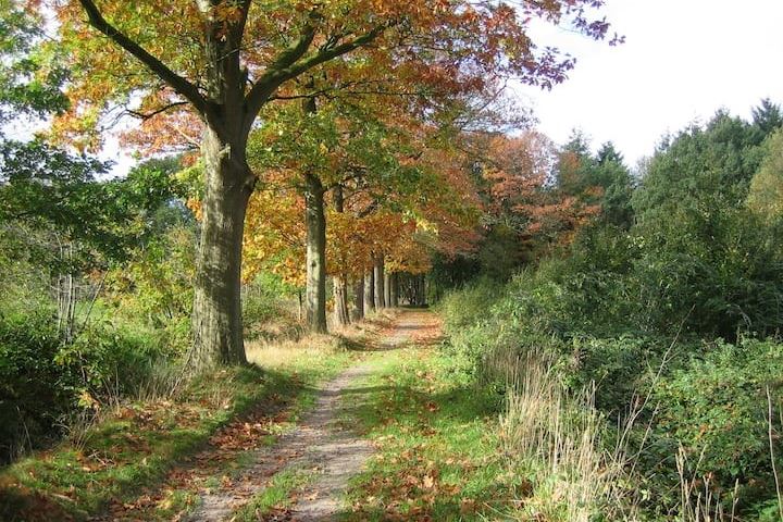 Bekijk foto 67 van Maarsbergseweg 18