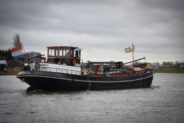 Foto 5 van Groenendijk 286