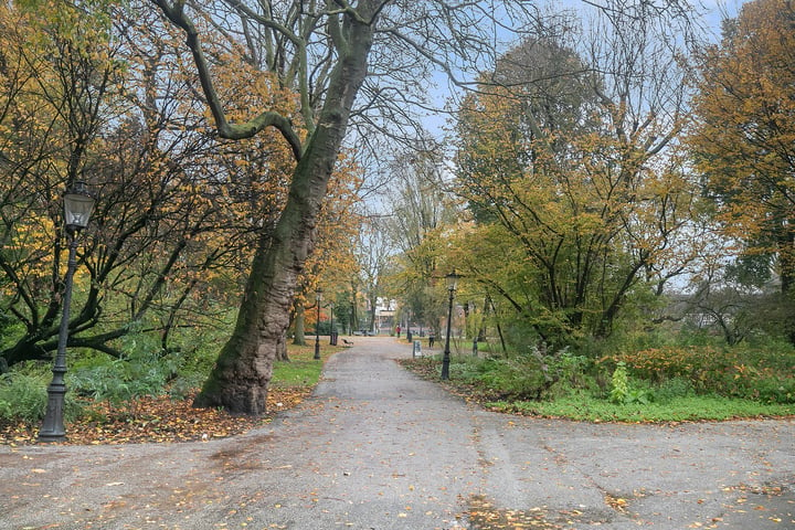 Bekijk foto 29 van Vrolikstraat 220-1