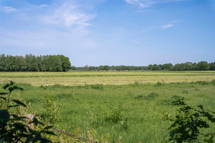 Photo 36 of Peizerweg 2