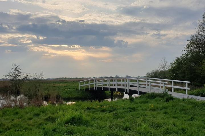 Bekijk foto 42 van Doppenmolen 3