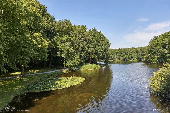 Bekijk foto 43 van Laan van Nieuw-Oost-Indië 202