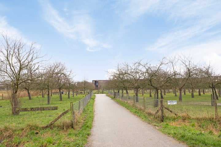 Bekijk foto 36 van Westerveldsestraat 71