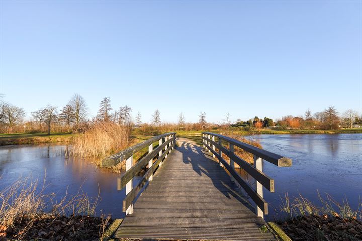 Bekijk foto 36 van Costerlaan 19