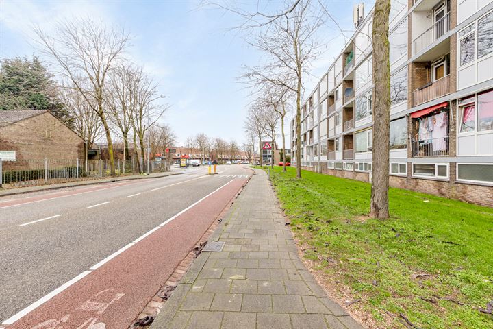 Bekijk foto 23 van Rijnstraat 29-B