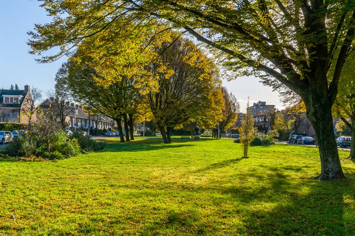 Bekijk foto 38 van Schimmelpennincklaan 45