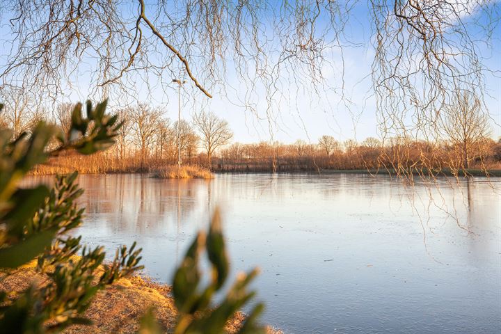 Bekijk foto 5 van Mauritslaan 31