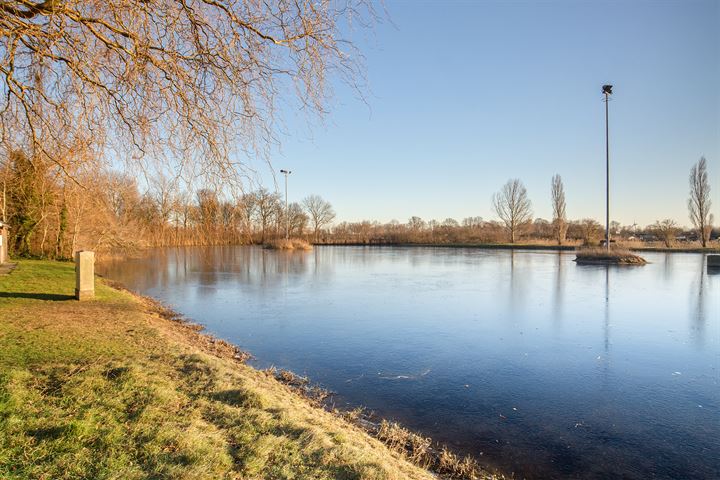 Bekijk foto 40 van Mauritslaan 31