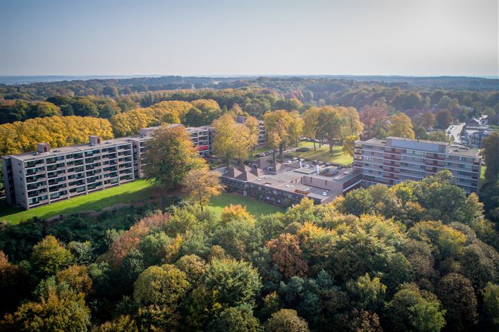 Bekijk foto 3 van Oude Kleefsebaan 203