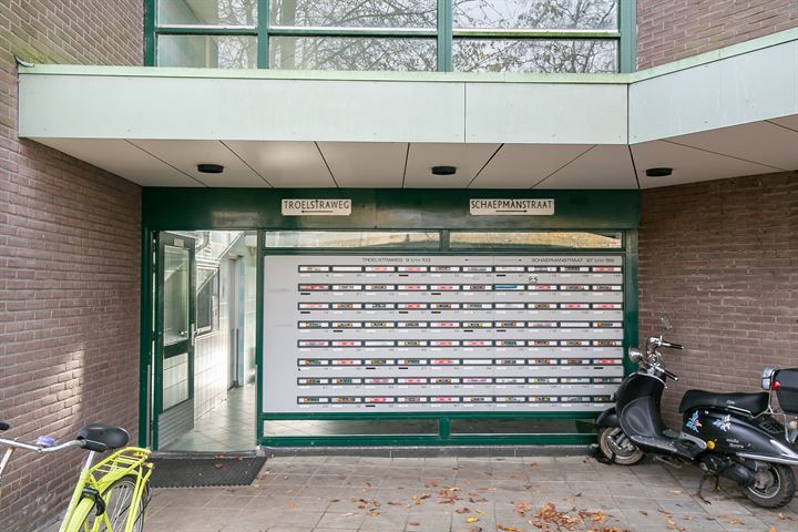 Bekijk foto 4 van Schaepmanstraat 135