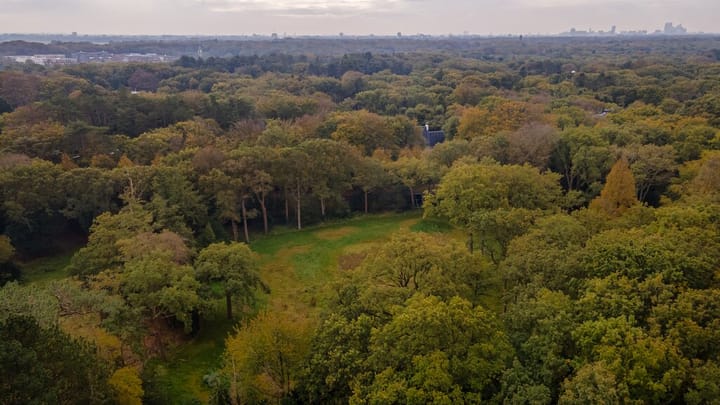 Foto 11 van Jagerslaan (zuid) 2