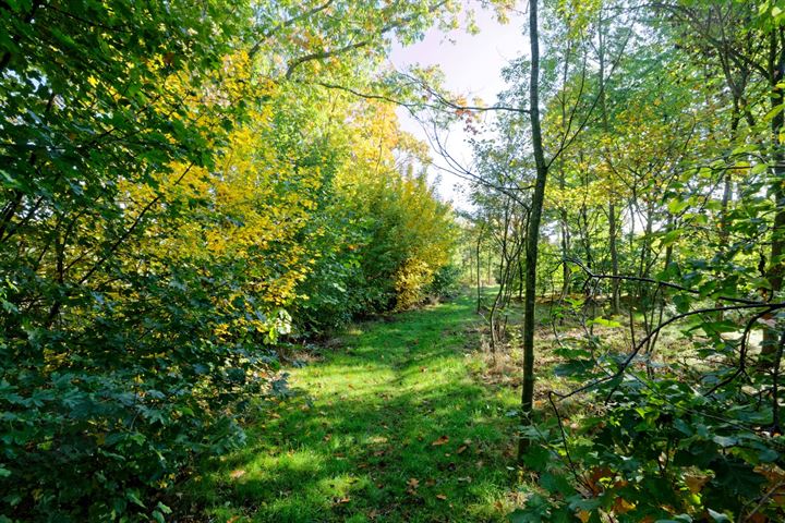 Bekijk foto 49 van Hiddinkdijk 20