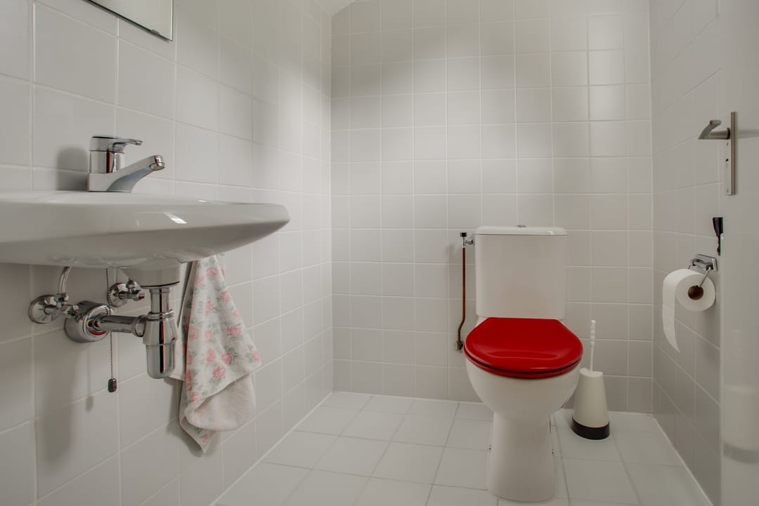 Foto 46 van Papegaaienlaan 1