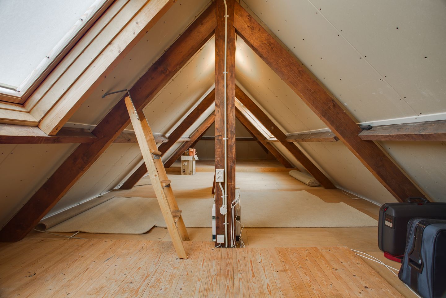 Foto 55 van Papegaaienlaan 1