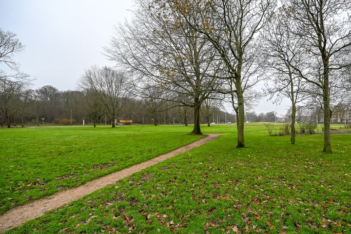 Bekijk foto 31 van Van Ostadestraat 87