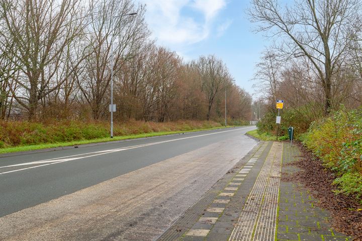 Bekijk foto 44 van Griend 125