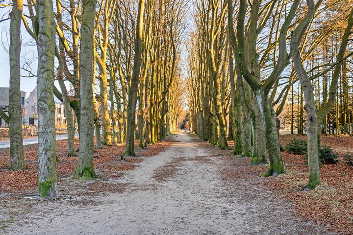 Bekijk foto 36 van Buurtscheuterlaan 76