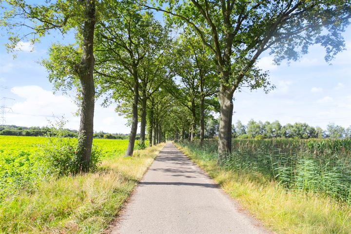 Bekijk foto 9 van Brandsbeemdseweg bouwkavel 2