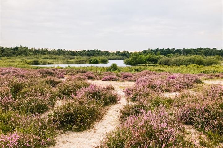 Bekijk foto 16 van Brandsbeemdseweg bouwkavel 2