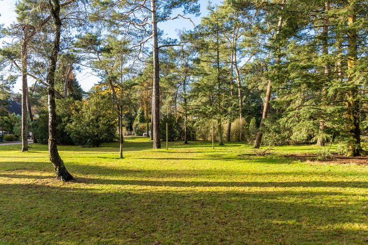 Bekijk foto 32 van Ockeghemlaan 16