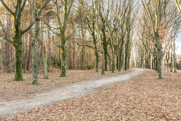 Bekijk foto 48 van Brigadelaan 30