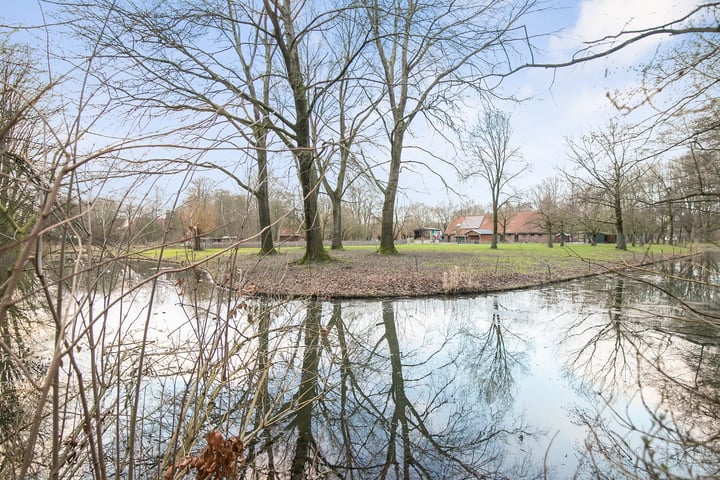 Bekijk foto 36 van Godschalkstraat 53-B