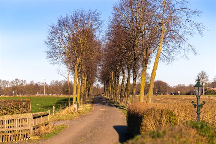 Bekijk foto 6 van Misterweg 221