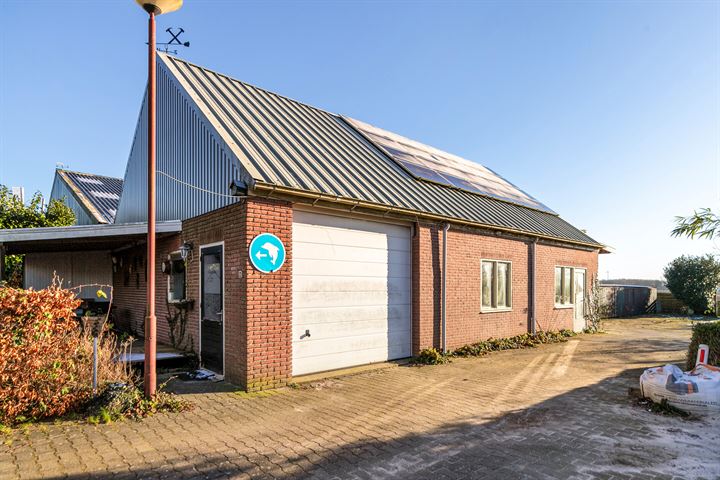 Bekijk foto 2 van Broek 52