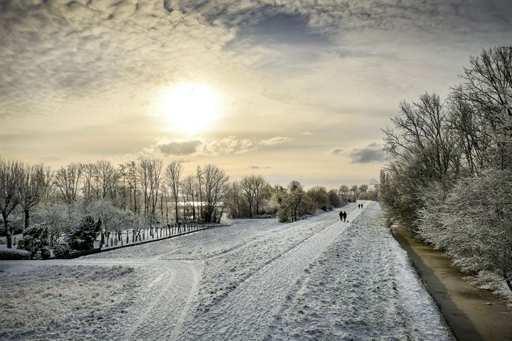 Bekijk foto 3 van Swanevelt 55