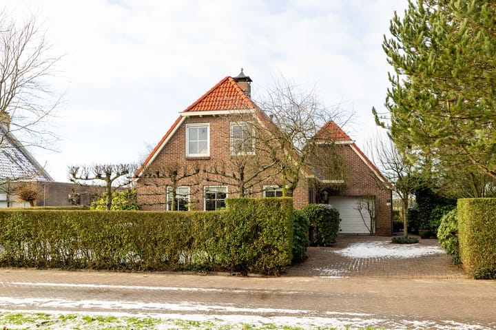 undefined main image