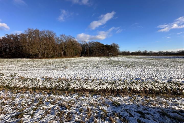 Bekijk foto 3 van Schoolbeekweg