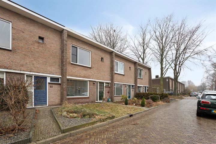 Bekijk foto 35 van Troelstrastraat 20