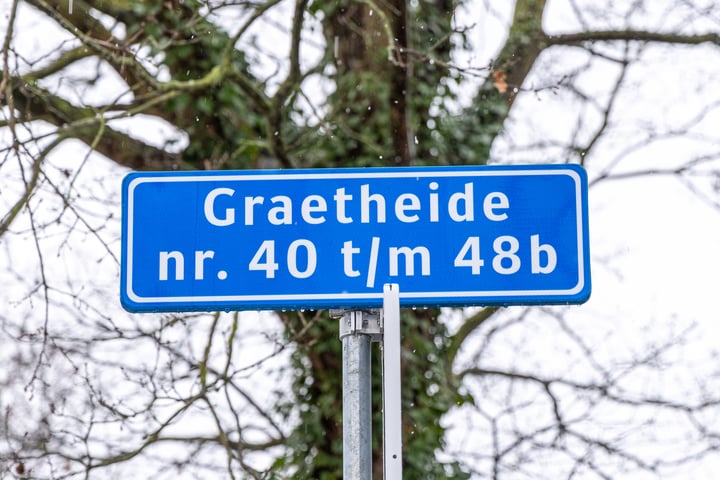 Bekijk foto 2 van Graetheide 46-F