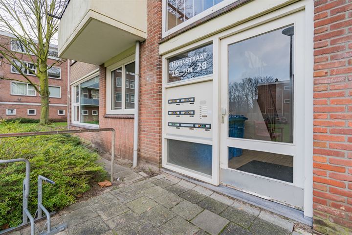 Bekijk foto 10 van Hornstraat 28