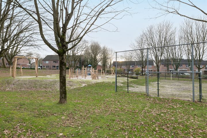 Bekijk foto 32 van Zilverschoon 250-*