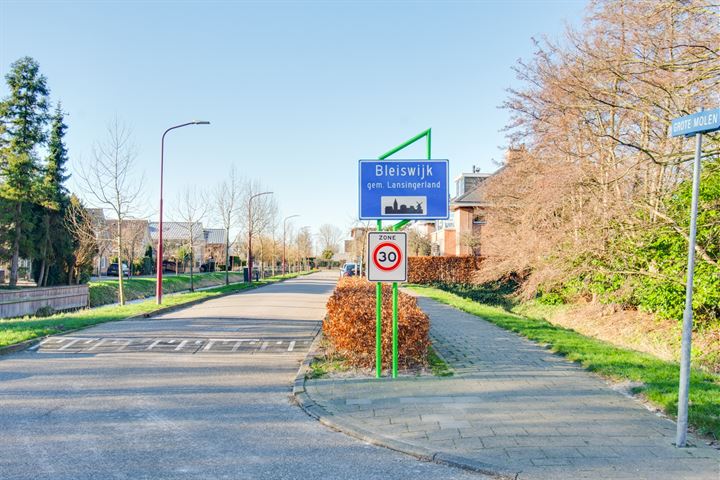 Bekijk foto 42 van Grote Molen 13