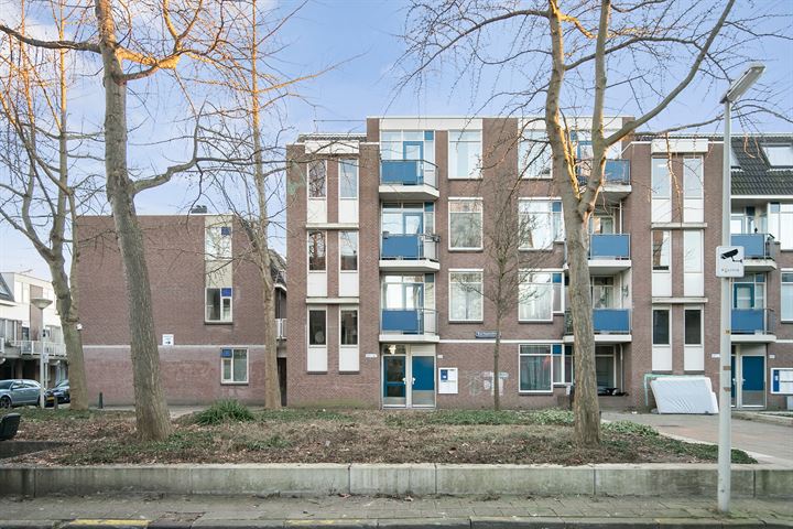 Bekijk foto 2 van Boerhaavestraat 167