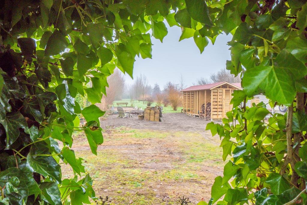 Photo 33 of Demmerik 25