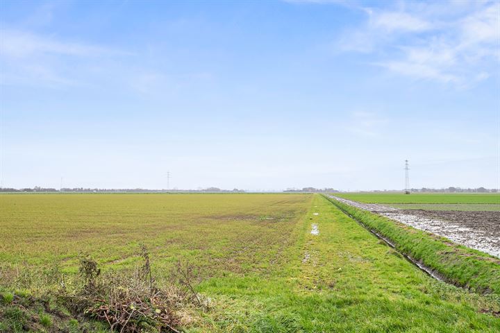 Bekijk foto 75 van Bomenweg 5-F