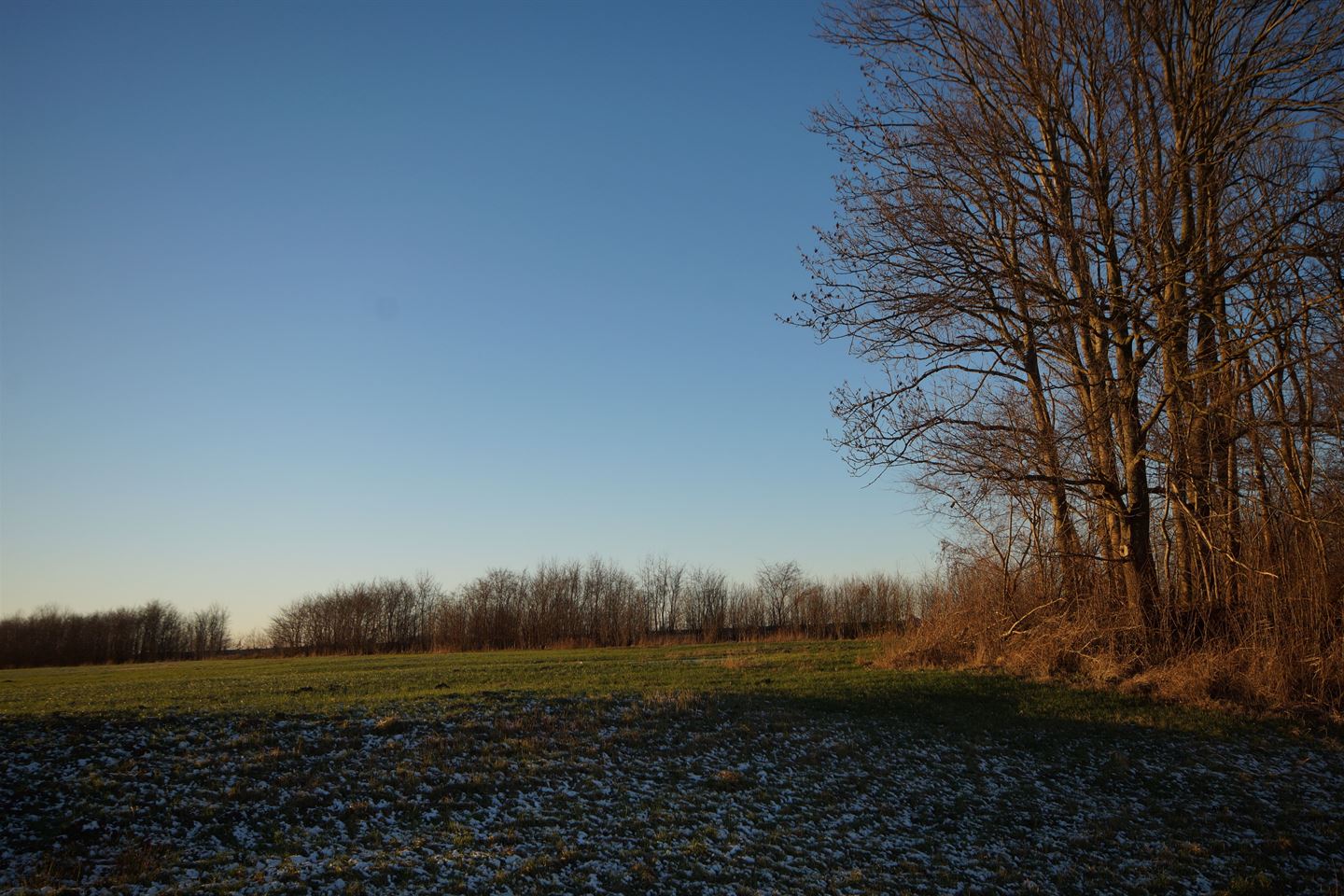 Bekijk foto 5 van Schildweg