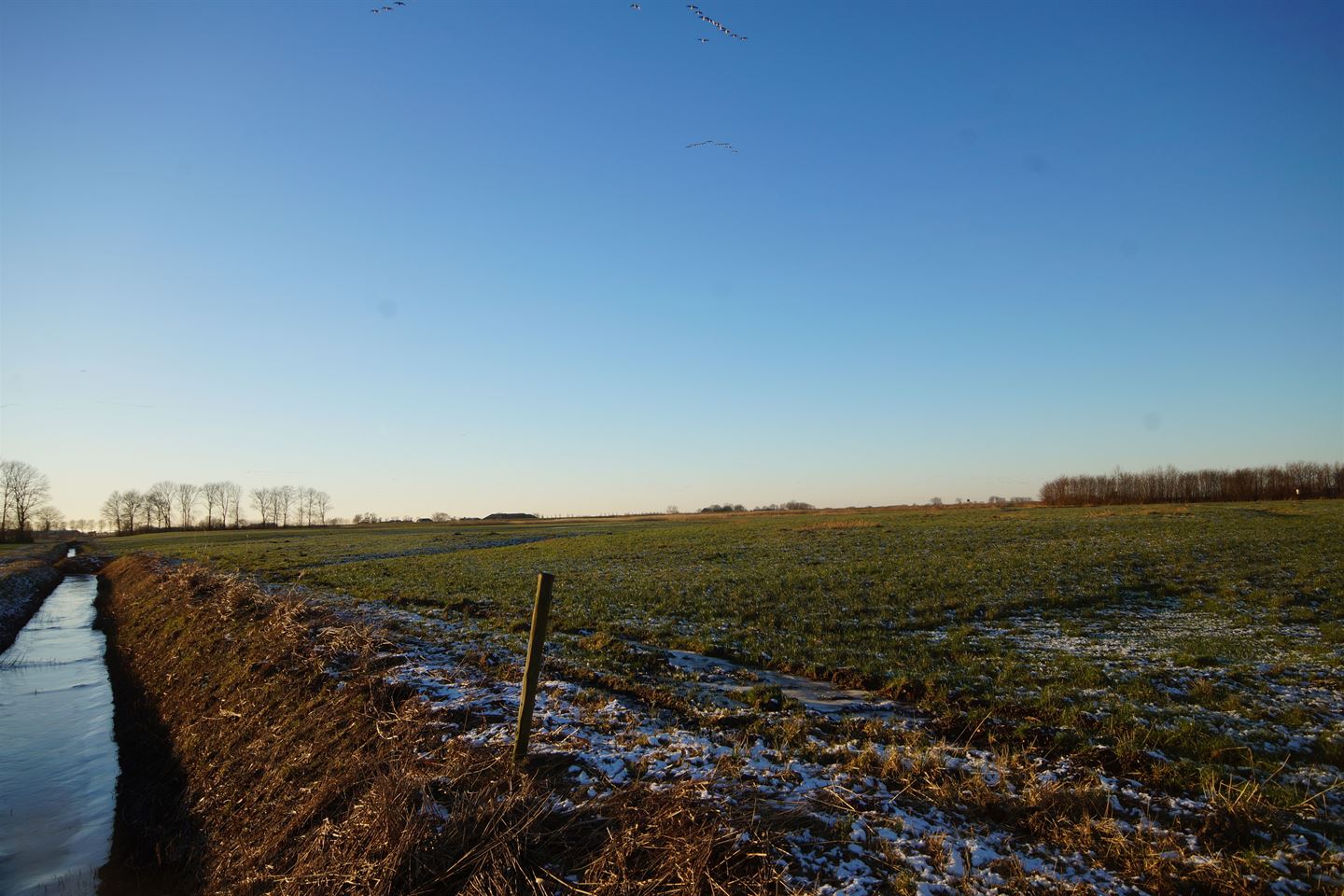 Bekijk foto 4 van Schildweg