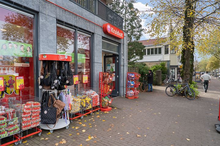 Bekijk foto 42 van Antonie van Leeuwenhoeklaan 103