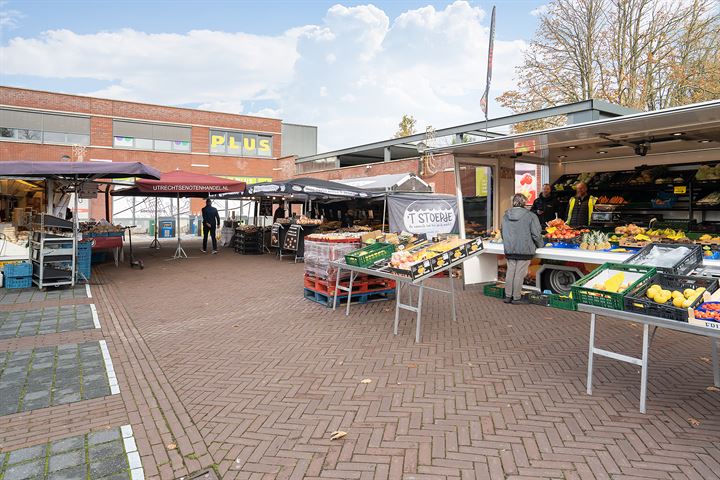 Bekijk foto 41 van Antonie van Leeuwenhoeklaan 103