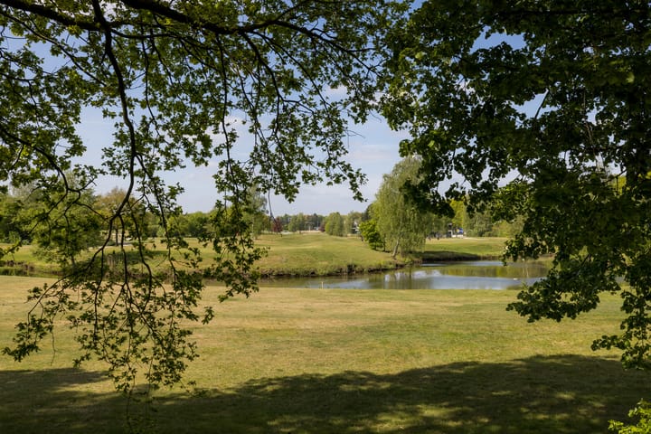 Foto 41 van Spechtlaan 6