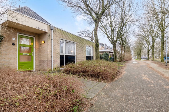 Bekijk foto 38 van Edgar du Perronstraat 16