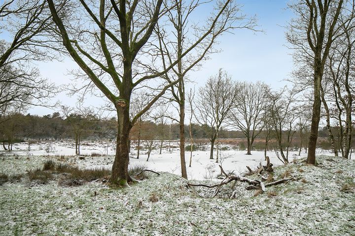 Bekijk foto 45 van Kievitweg 4