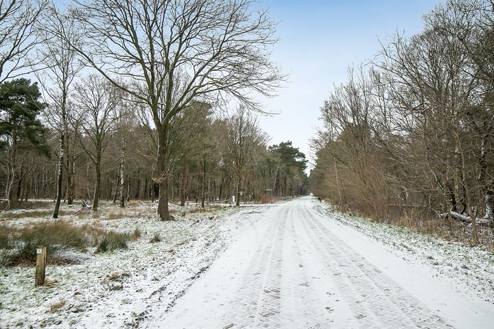 Bekijk foto 46 van Kievitweg 4