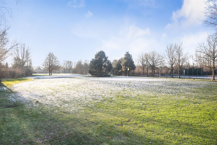 Bekijk foto 35 van Kolonieweg 3-11