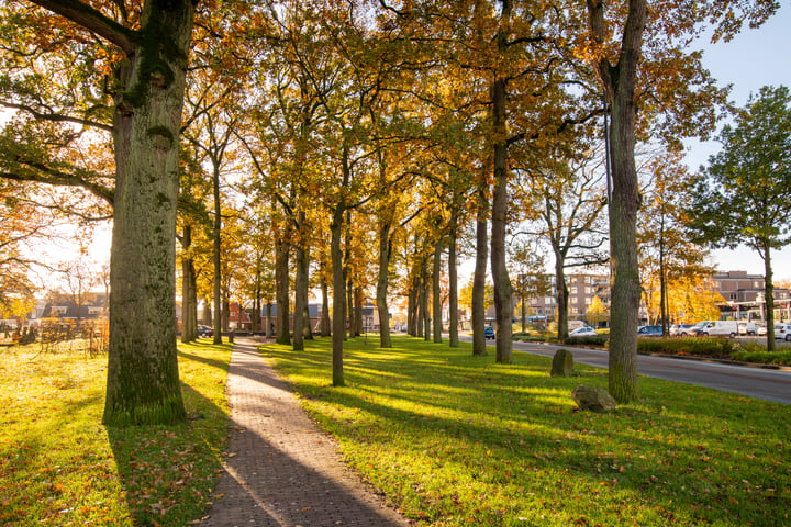 Bekijk foto 44 van Wilhelminastraat 55-C